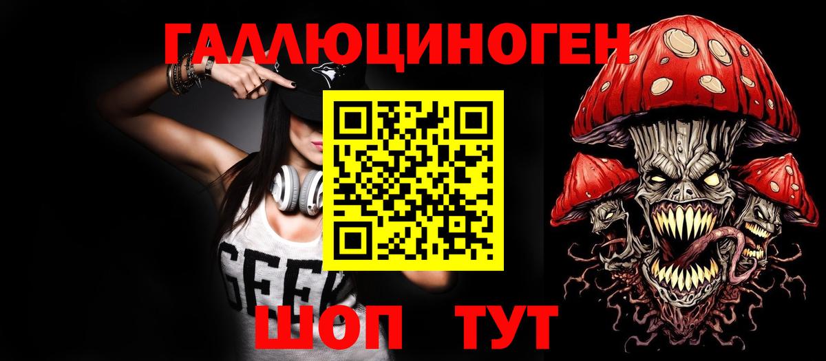Галлюциногенные грибы Psilocybe Осинники